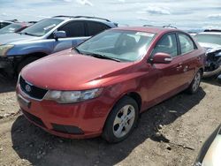 2010 KIA Forte EX en venta en Brighton, CO