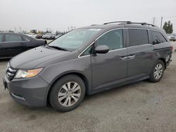 Honda Odyssey exl Vehiculos salvage en venta: 2016 Honda Odyssey EXL