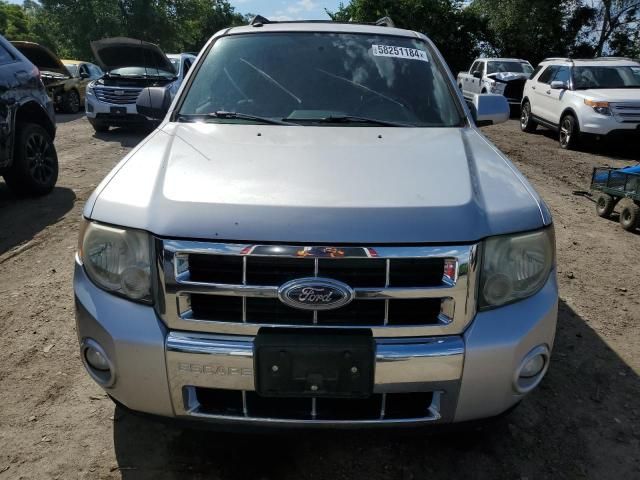 2010 Ford Escape Limited