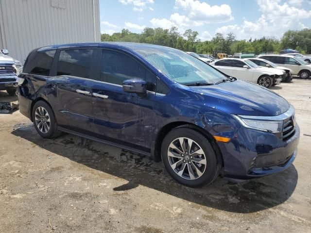 2024 Honda Odyssey EXL