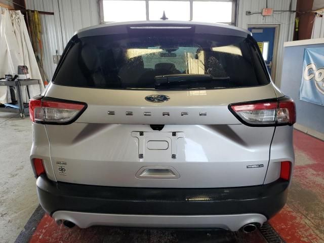 2020 Ford Escape SE Sport