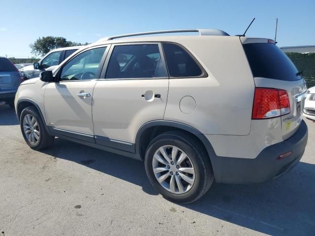 2011 KIA Sorento Base