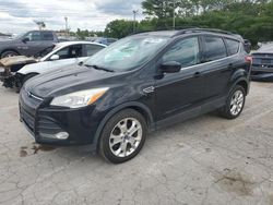 Ford salvage cars for sale: 2013 Ford Escape