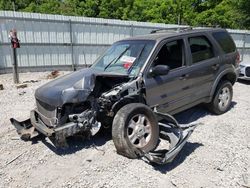 Ford Escape salvage cars for sale: 2002 Ford Escape XLT