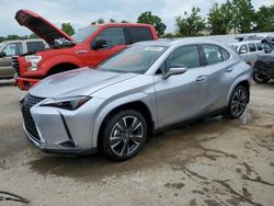 Lexus ux 250h pr salvage cars for sale: 2024 Lexus UX 250H Premium