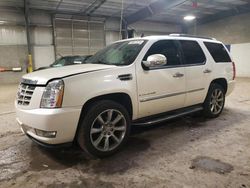 Cadillac Escalade salvage cars for sale: 2009 Cadillac Escalade Luxury