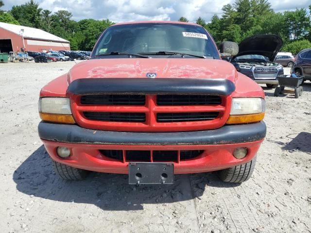 2000 Dodge Dakota