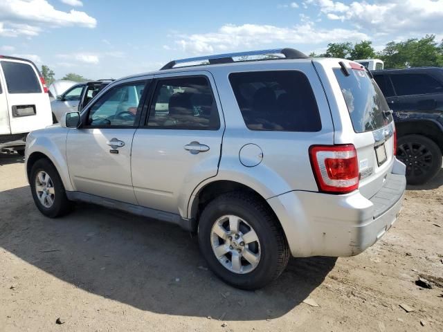 2010 Ford Escape Limited