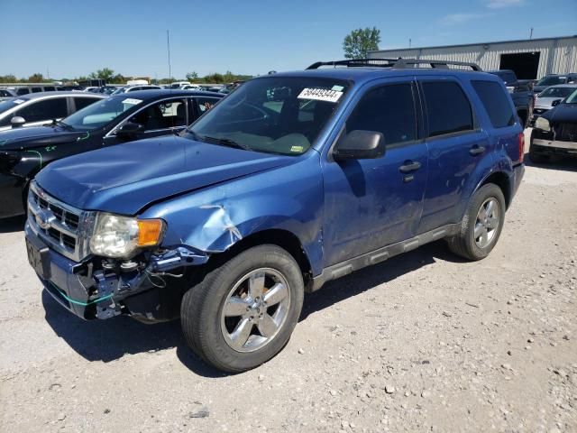 2009 Ford Escape XLT