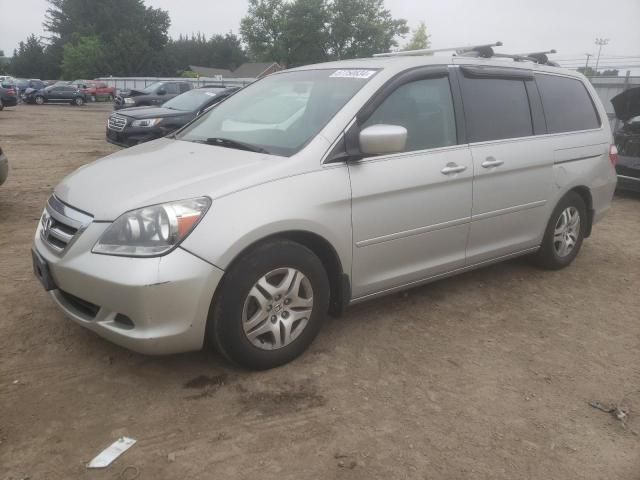 2005 Honda Odyssey EXL