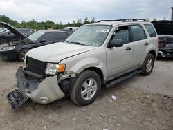 Ford Escape Vehiculos salvage en venta: 2009 Ford Escape XLS