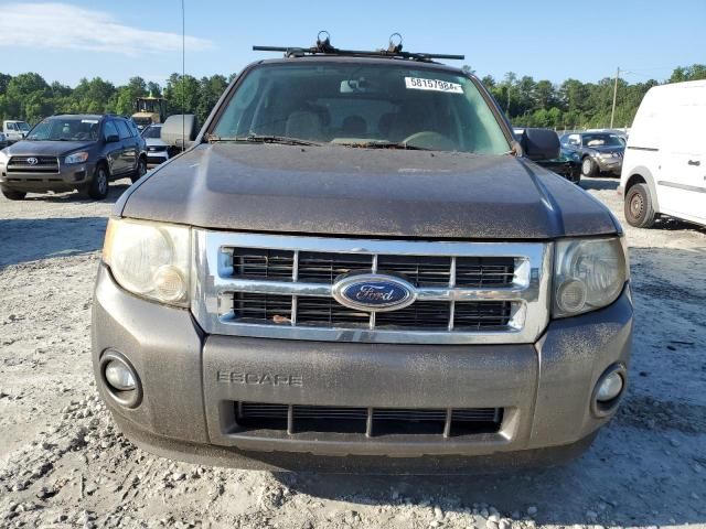 2009 Ford Escape XLT