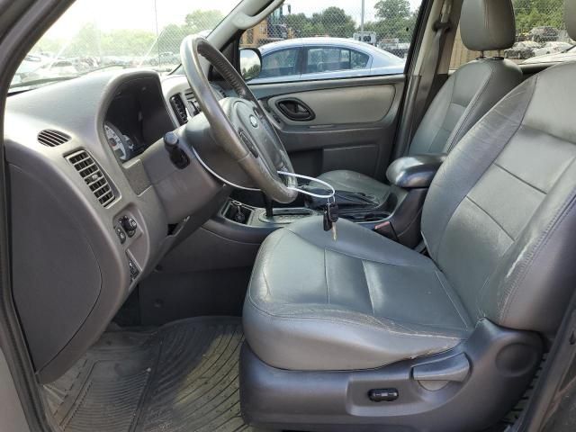 2007 Ford Escape XLT