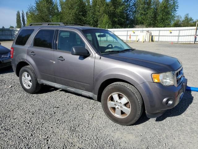 2009 Ford Escape XLS