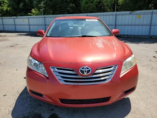 2009 Toyota Camry Hybrid