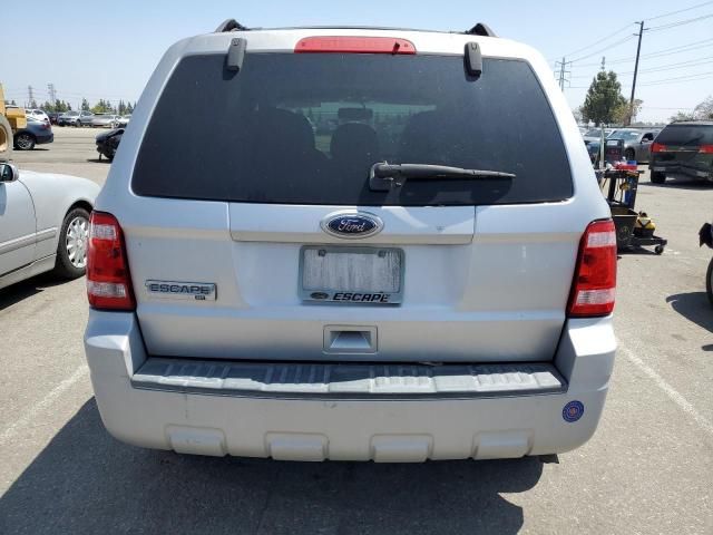 2010 Ford Escape XLT