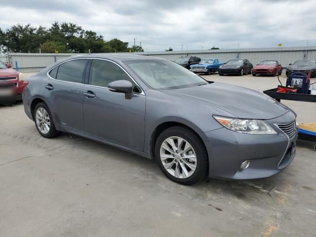 2013 Lexus ES 300H