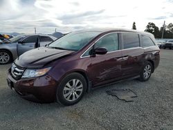 Honda Vehiculos salvage en venta: 2014 Honda Odyssey EX