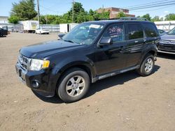 2012 Ford Escape Limited for sale in New Britain, CT