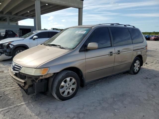 2004 Honda Odyssey EXL