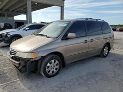 Honda Odyssey exl Vehiculos salvage en venta: 2004 Honda Odyssey EXL