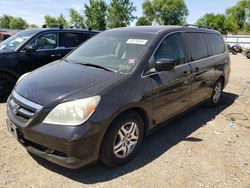 Honda salvage cars for sale: 2006 Honda Odyssey EXL