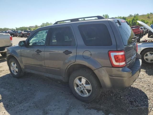 2011 Ford Escape XLT