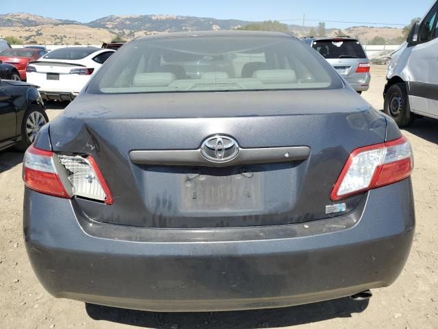 2009 Toyota Camry Hybrid