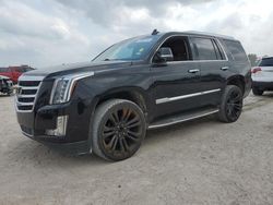 Cadillac Escalade salvage cars for sale: 2017 Cadillac Escalade Luxury