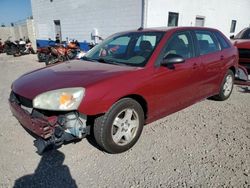 Chevrolet Vehiculos salvage en venta: 2004 Chevrolet Malibu Maxx LT