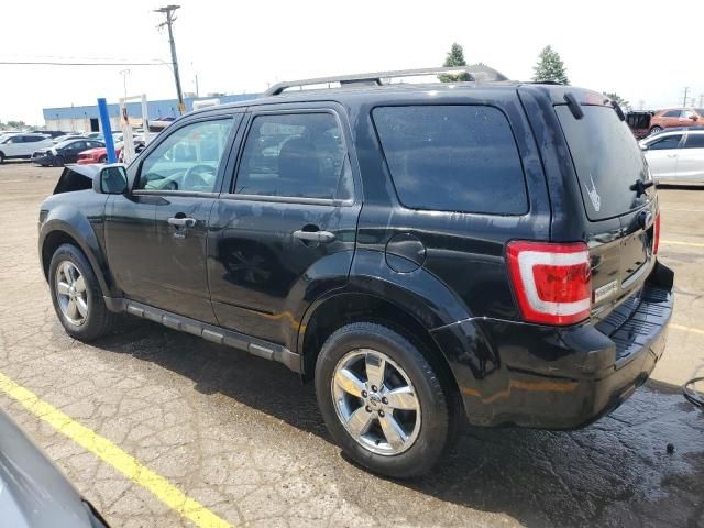 2010 Ford Escape XLT