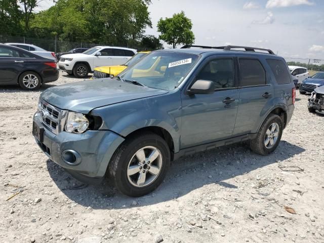 2010 Ford Escape XLT