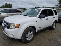 Salvage cars for sale from Copart Arlington, WA: 2008 Ford Escape XLT