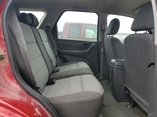 2007 Ford Escape XLS