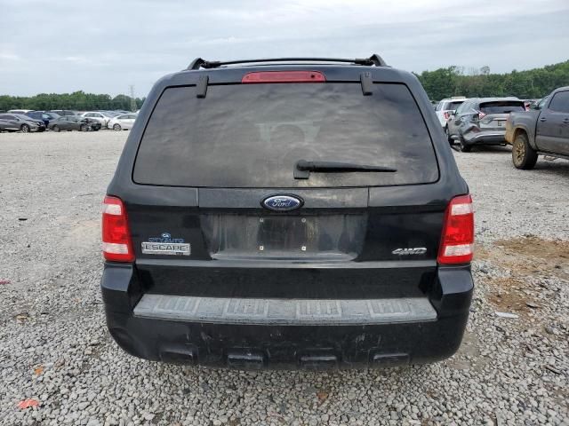 2008 Ford Escape XLT