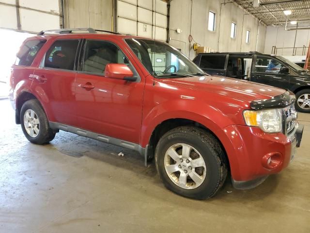 2010 Ford Escape Limited