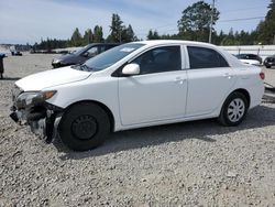 Toyota Corolla salvage cars for sale: 2010 Toyota Corolla Base