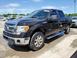 2013 Ford F150 Supercrew for sale in Louisville, KY