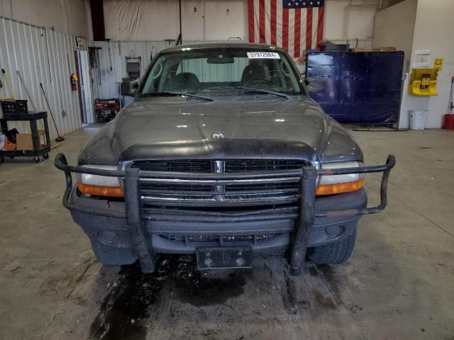 2004 Dodge Dakota SXT