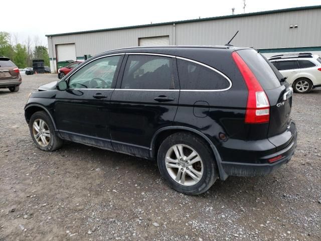 2010 Honda CR-V EXL