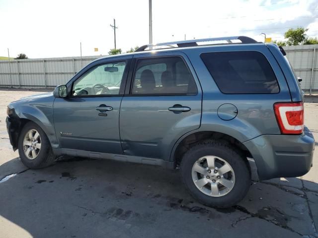 2010 Ford Escape Hybrid