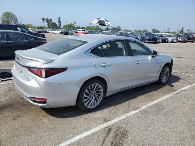 2019 Lexus ES 300H