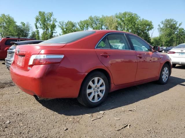 2009 Toyota Camry Hybrid