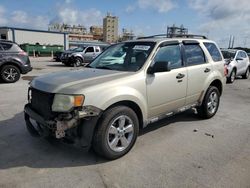 Salvage cars for sale from Copart New Orleans, LA: 2010 Ford Escape XLT