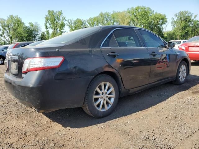 2010 Toyota Camry Hybrid