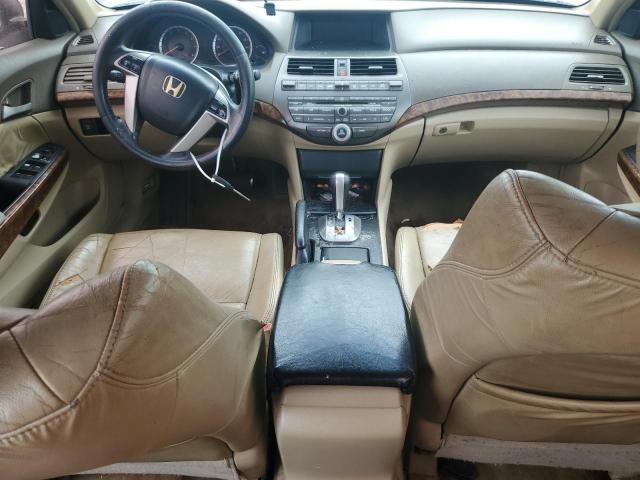 2008 Honda Accord EXL