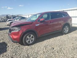 Salvage cars for sale from Copart Reno, NV: 2022 KIA Sorento LX