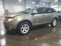 2012 Ford Edge SEL for sale in Ham Lake, MN