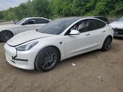 Tesla Model 3 salvage cars for sale: 2021 Tesla Model 3