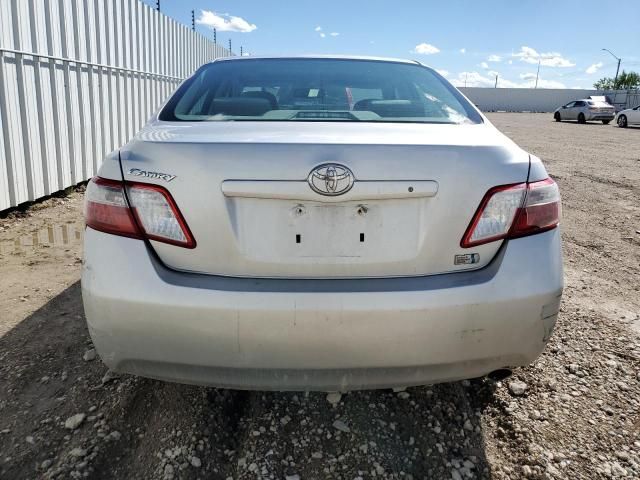 2009 Toyota Camry Hybrid